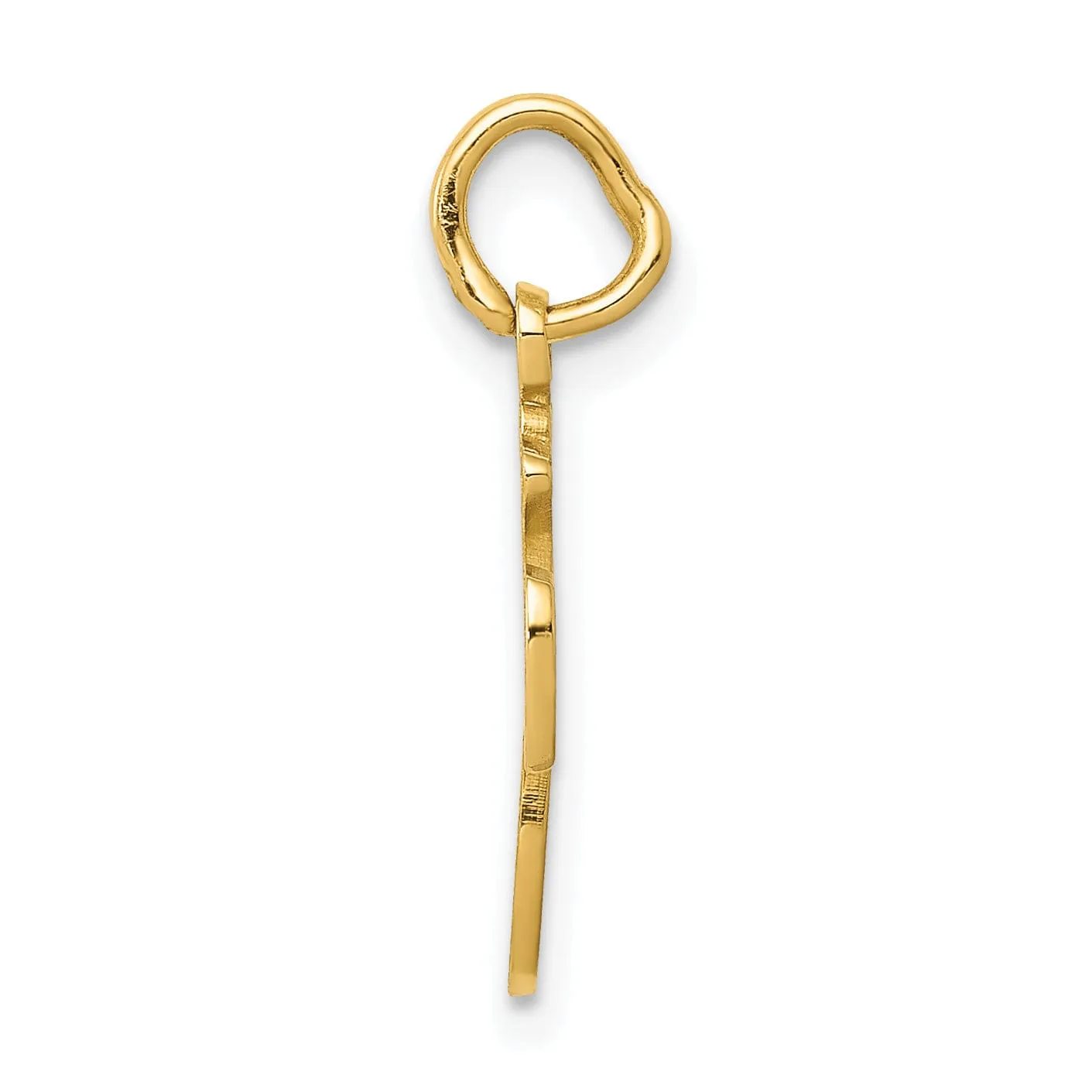 14k Yellow Gold Textured Polished Finish Money Bag Charm Pendant