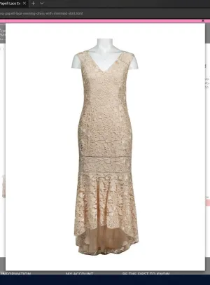 Adrianna Papell AP1E203392 Lace Evening Dress with Mermaid Skirt