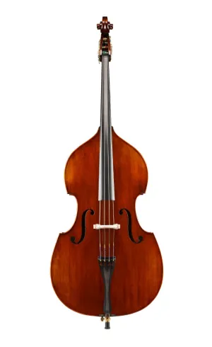 Andreas Eastman Model 305 Carved Bass, Violin Corners, Outfit