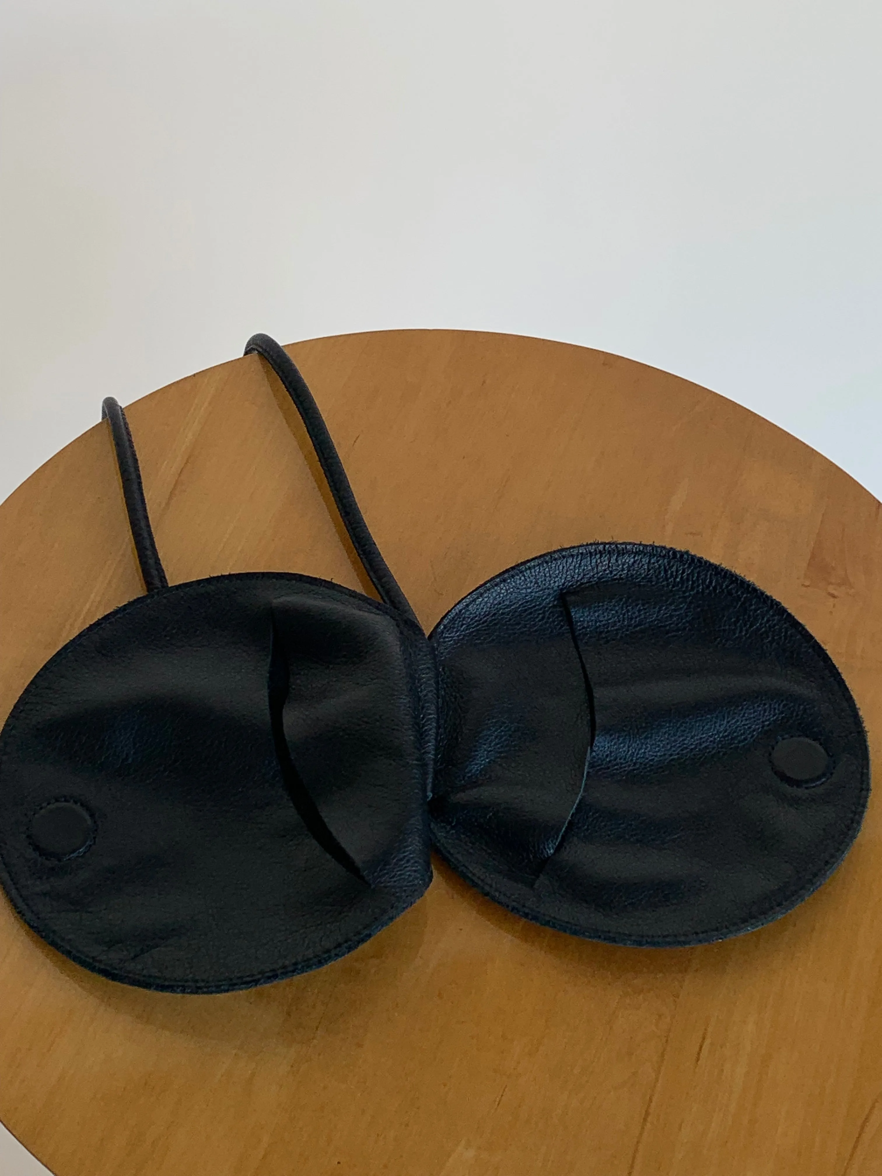 Are Studio Disc Bag