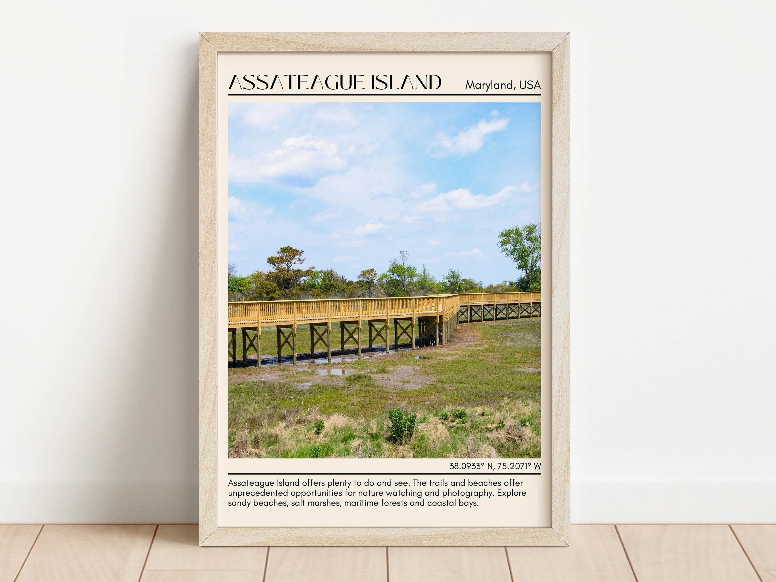 Assateague Island Beach Wall Canvas, USA