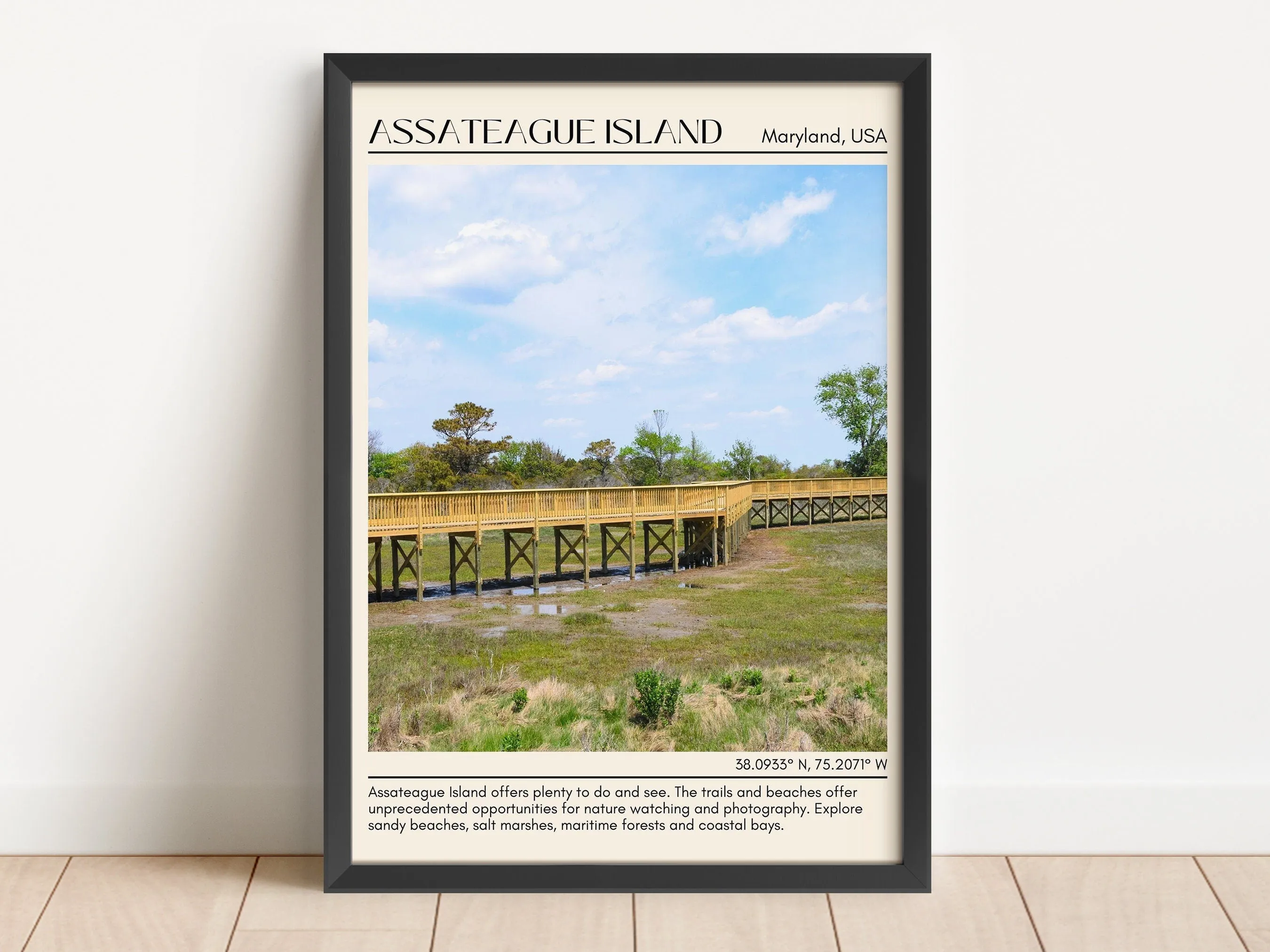Assateague Island Beach Wall Canvas, USA