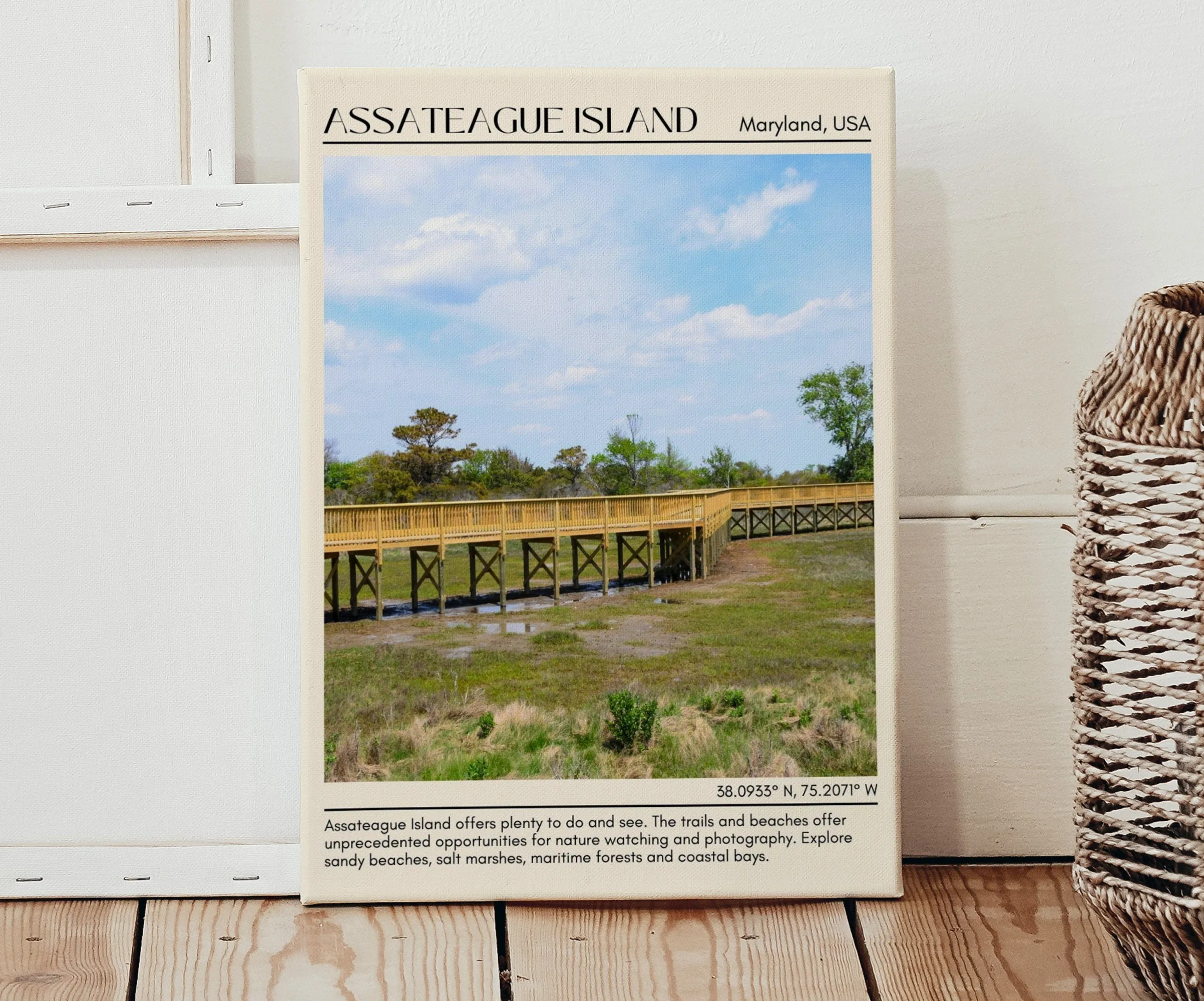Assateague Island Beach Wall Canvas, USA