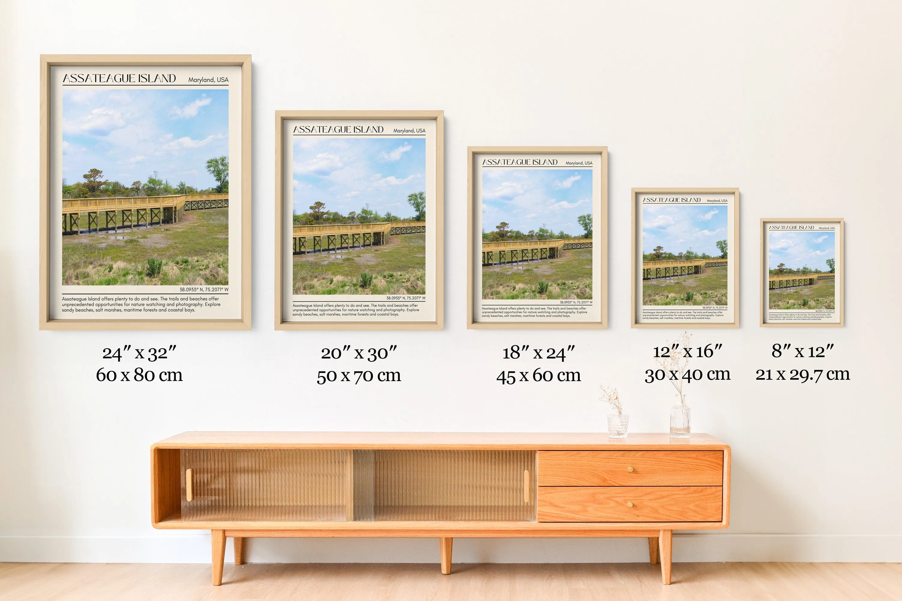 Assateague Island Beach Wall Canvas, USA
