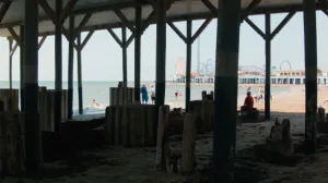 Beach House Stilts with People