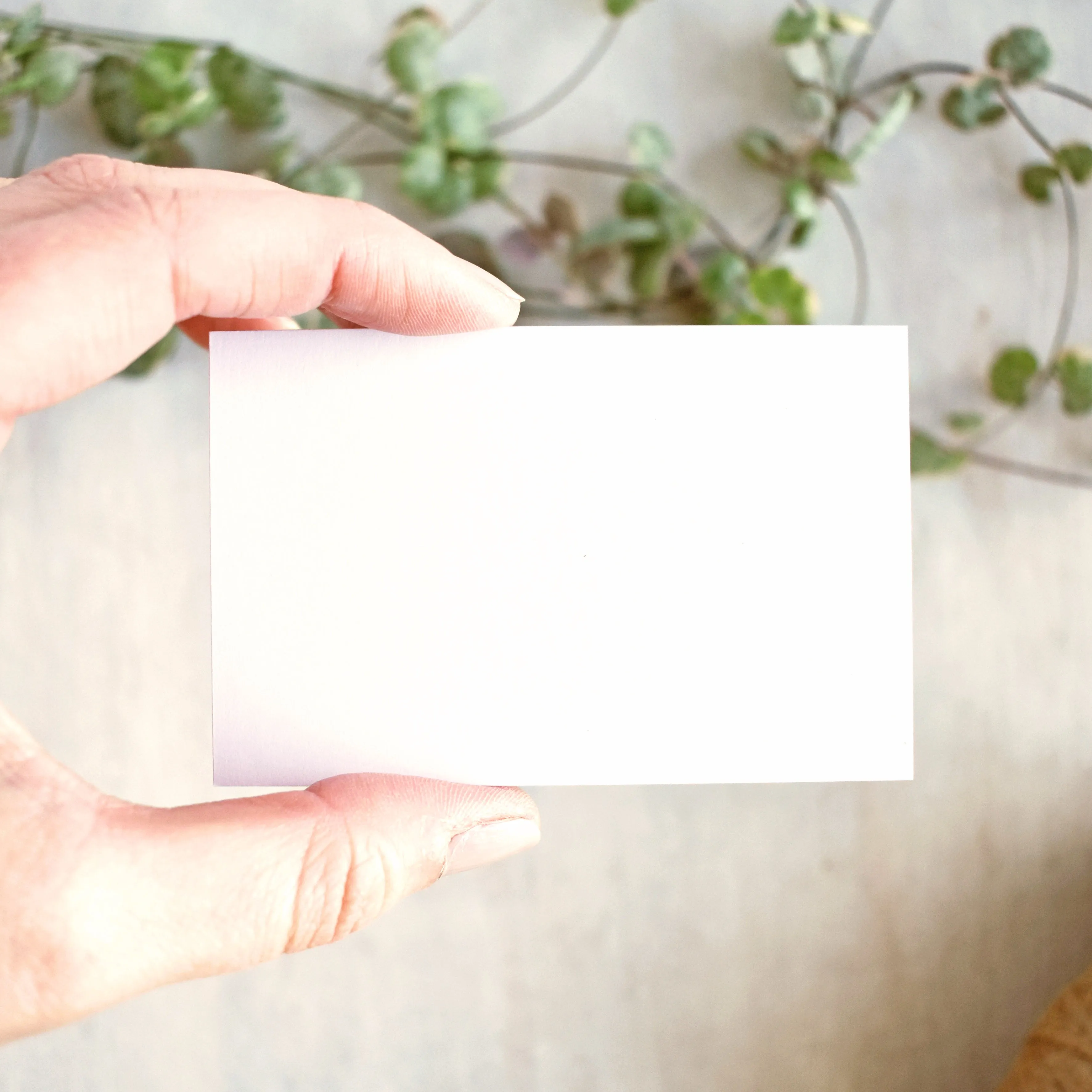 Blank White Business Cards 85 x 55mm