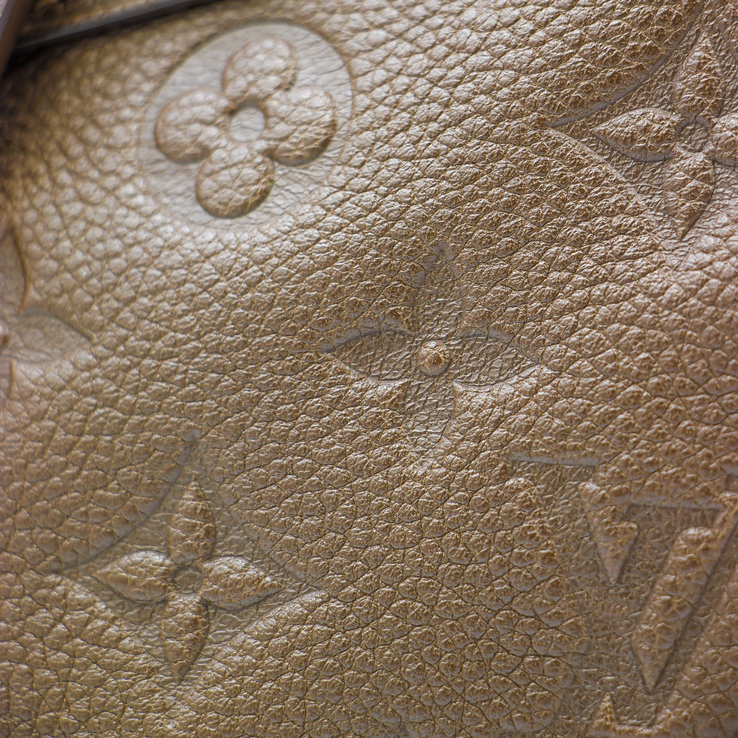 Bolsa Louis Vuitton
