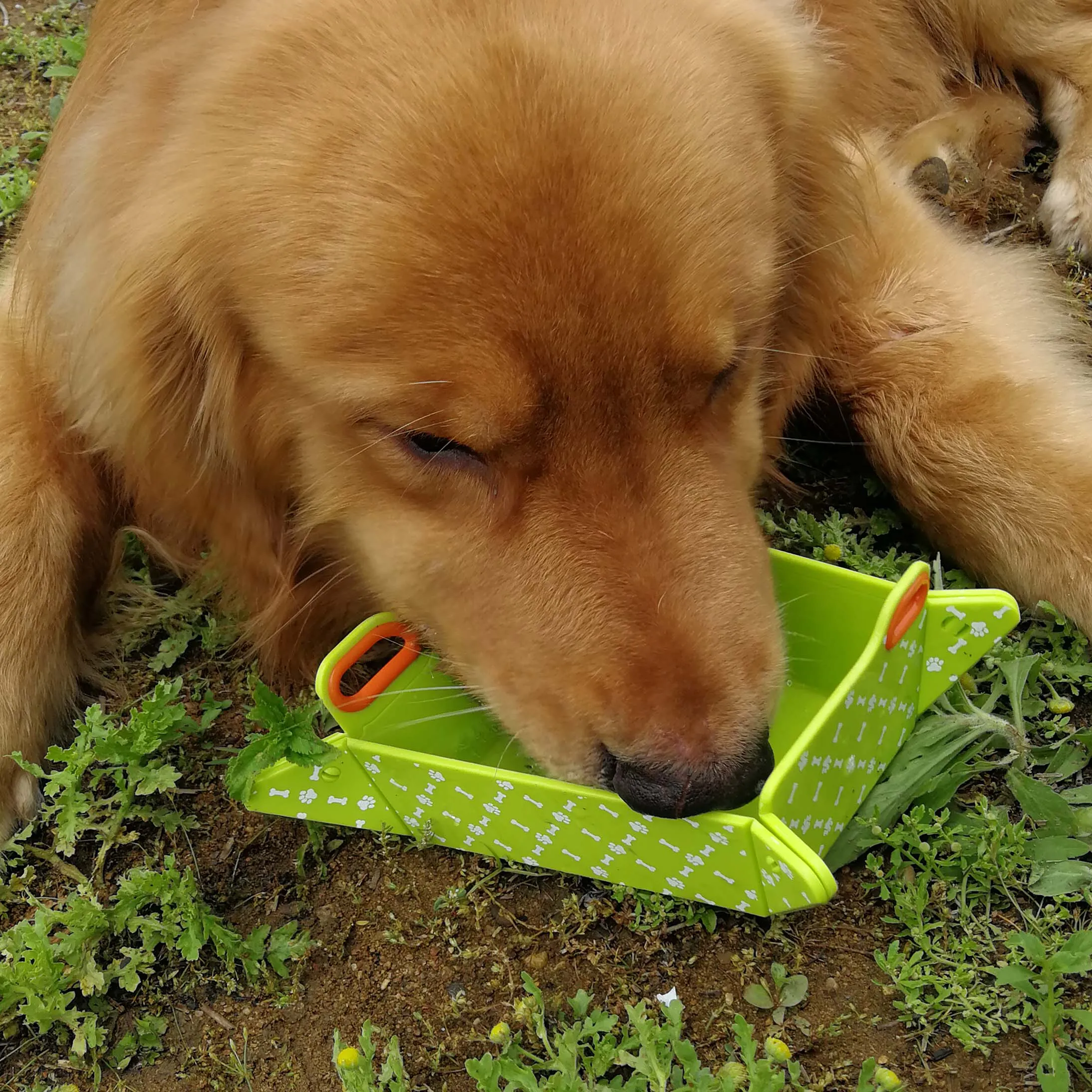 CHOP2BOWL