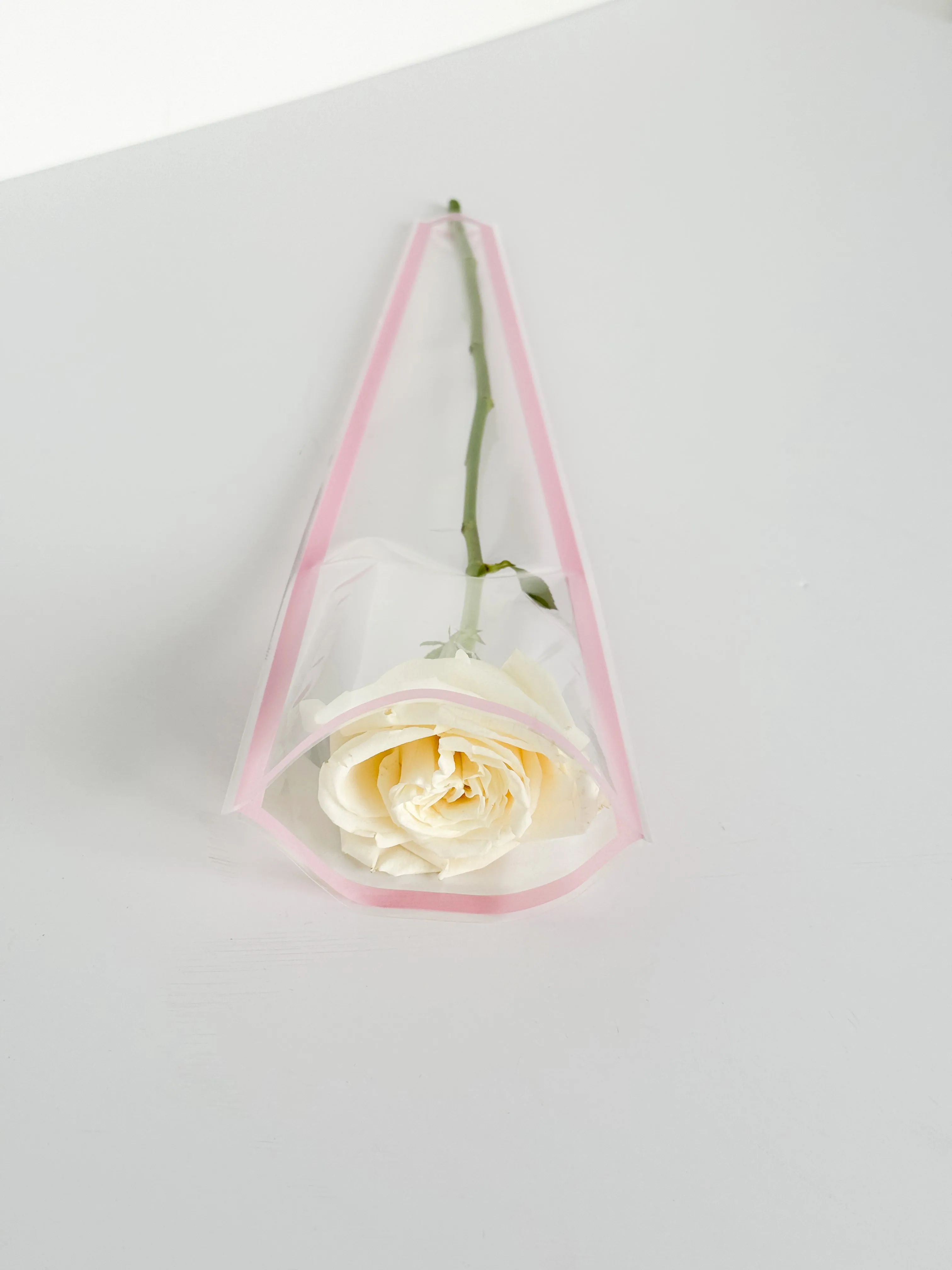 Colored Edge Transparent Flower Bag for Single Stem – Available in Red, Black, Pink, and Blue