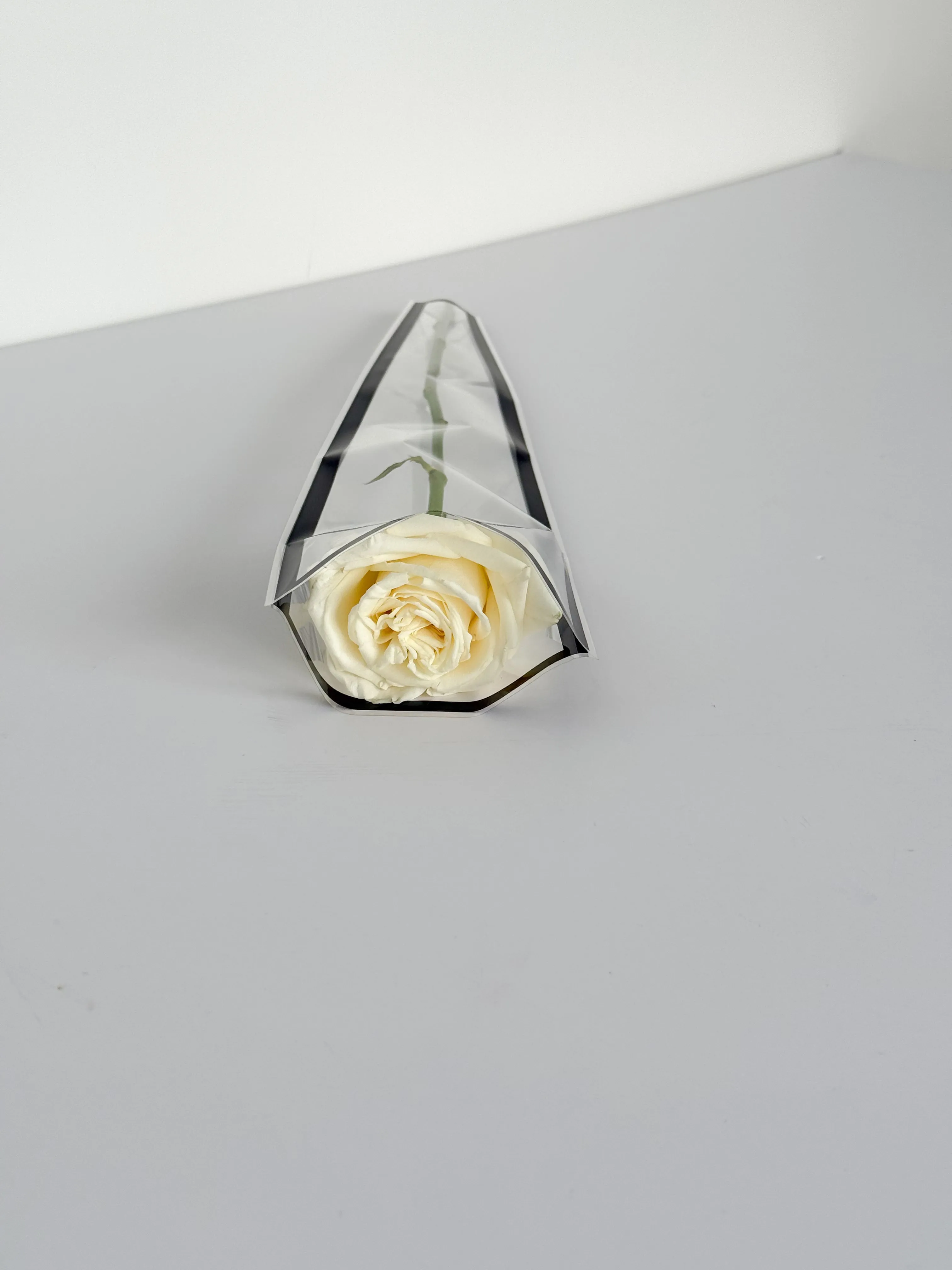 Colored Edge Transparent Flower Bag for Single Stem – Available in Red, Black, Pink, and Blue