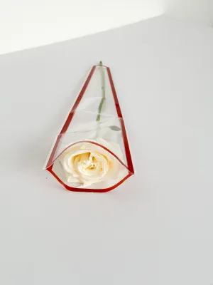 Colored Edge Transparent Flower Bag for Single Stem – Available in Red, Black, Pink, and Blue