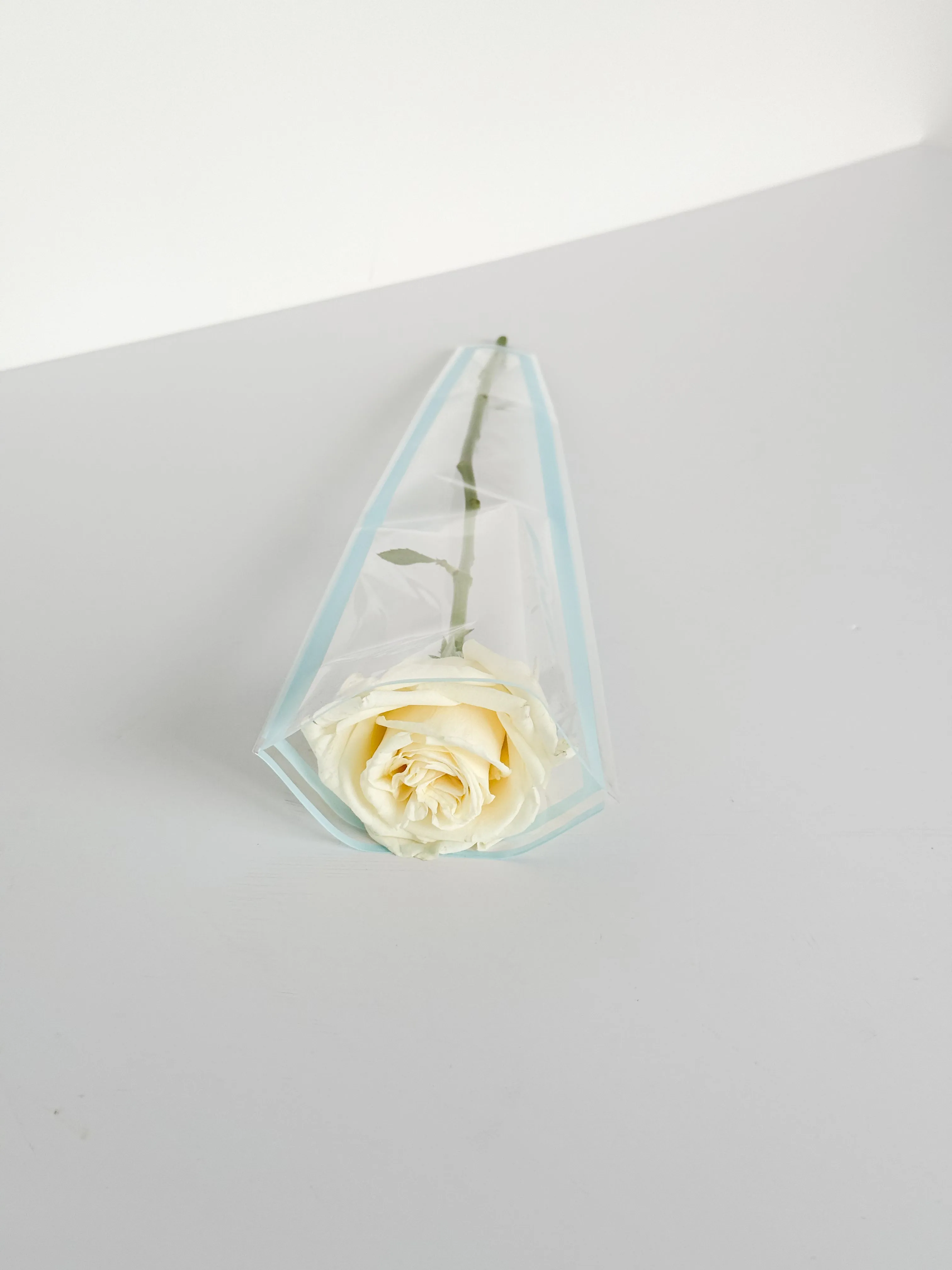 Colored Edge Transparent Flower Bag for Single Stem – Available in Red, Black, Pink, and Blue
