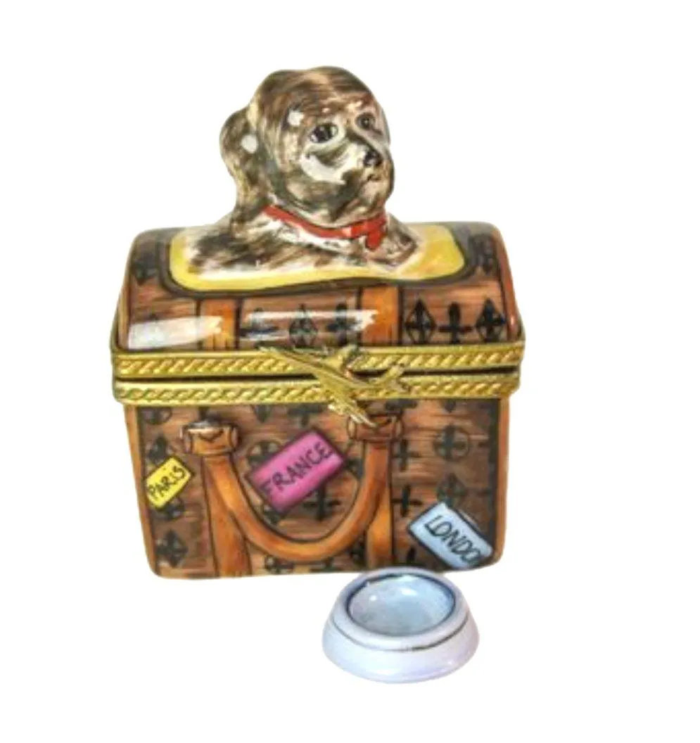 Dog in Travel Bag - 3 Extra Days to Ship