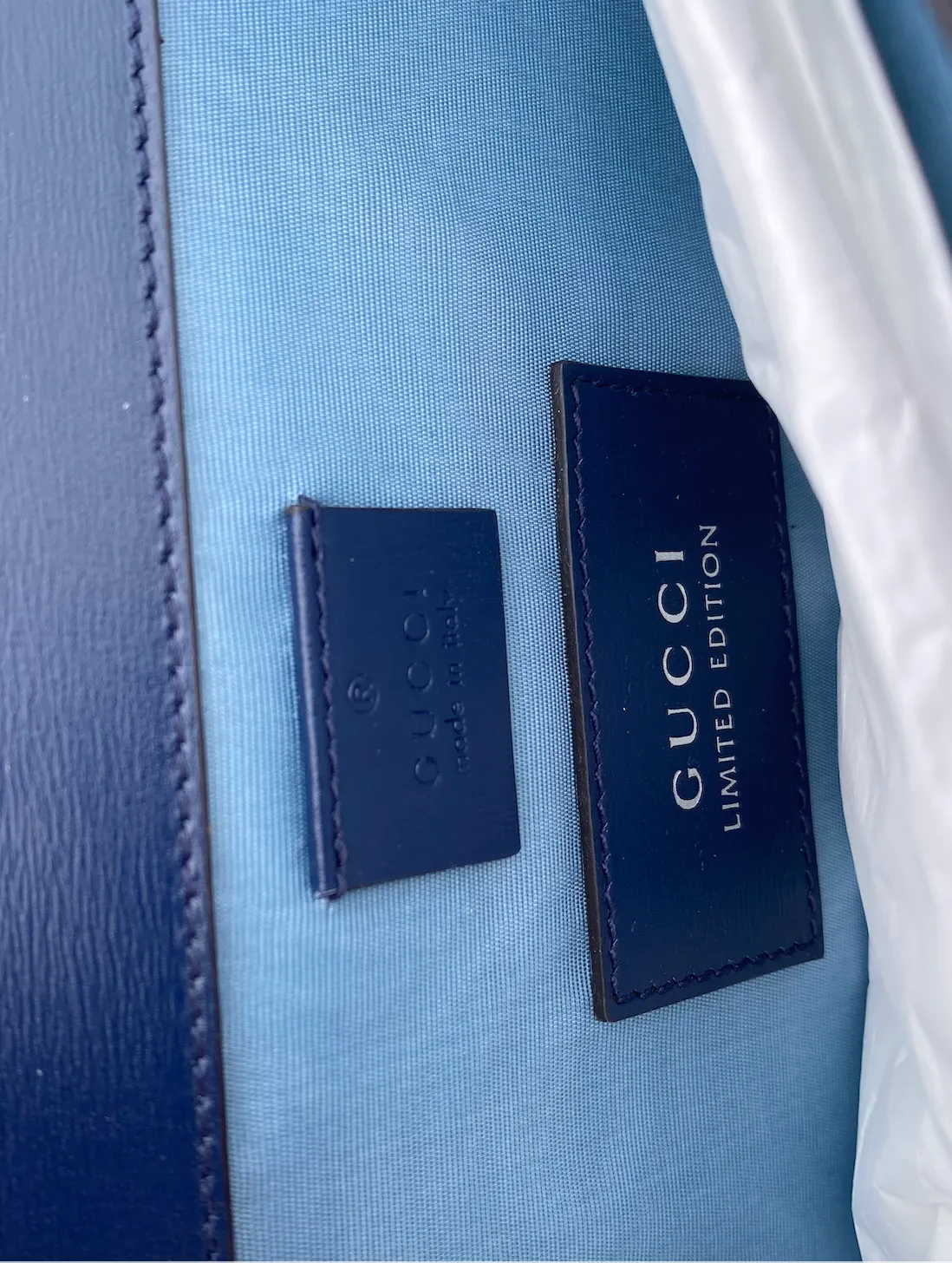 Gucci Dionysus Hand Painted Shoulder Bag in Blue Agate