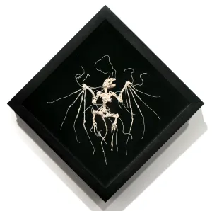 Haruspex II