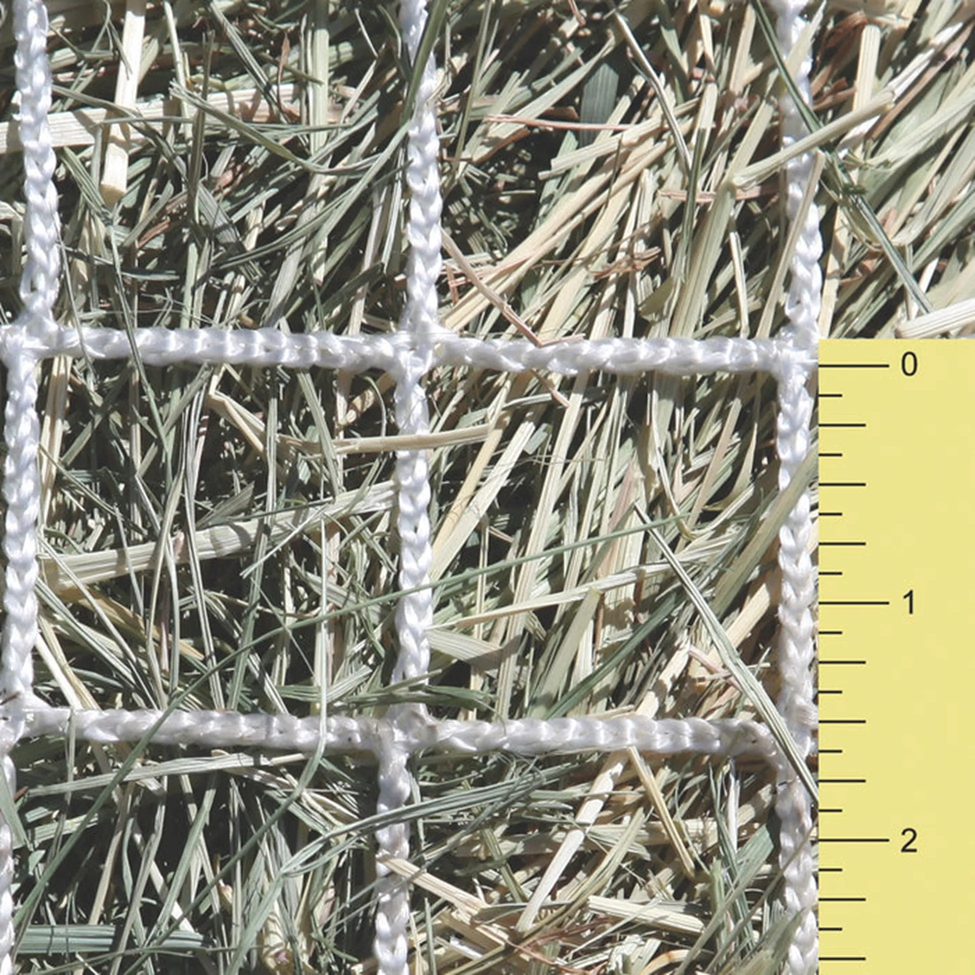 Kensington Freedom Feeder Day Net