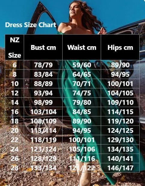 Kerrianna V-neck long lantern sleeve sequin A-Line dress