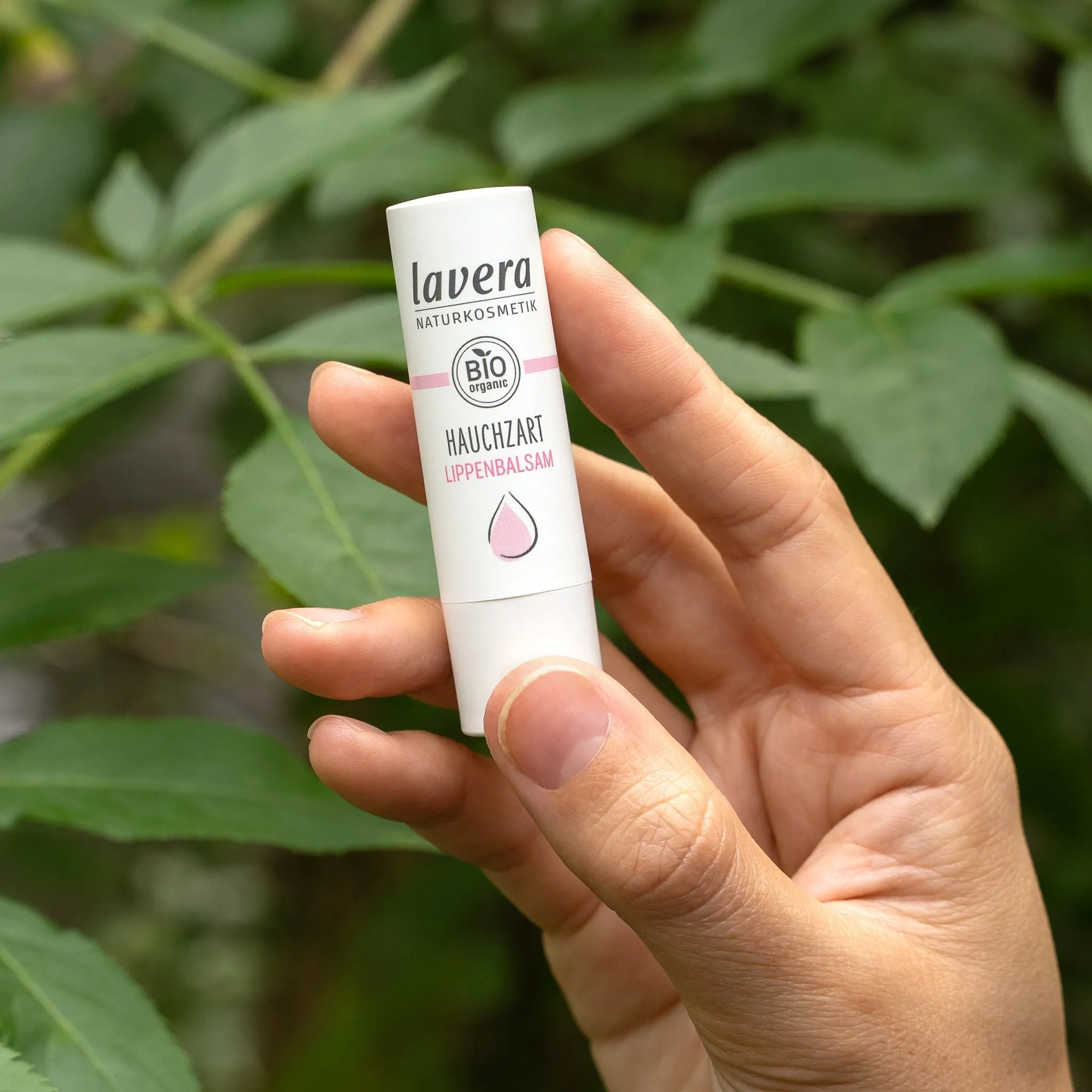 Lip Balm | Sheer