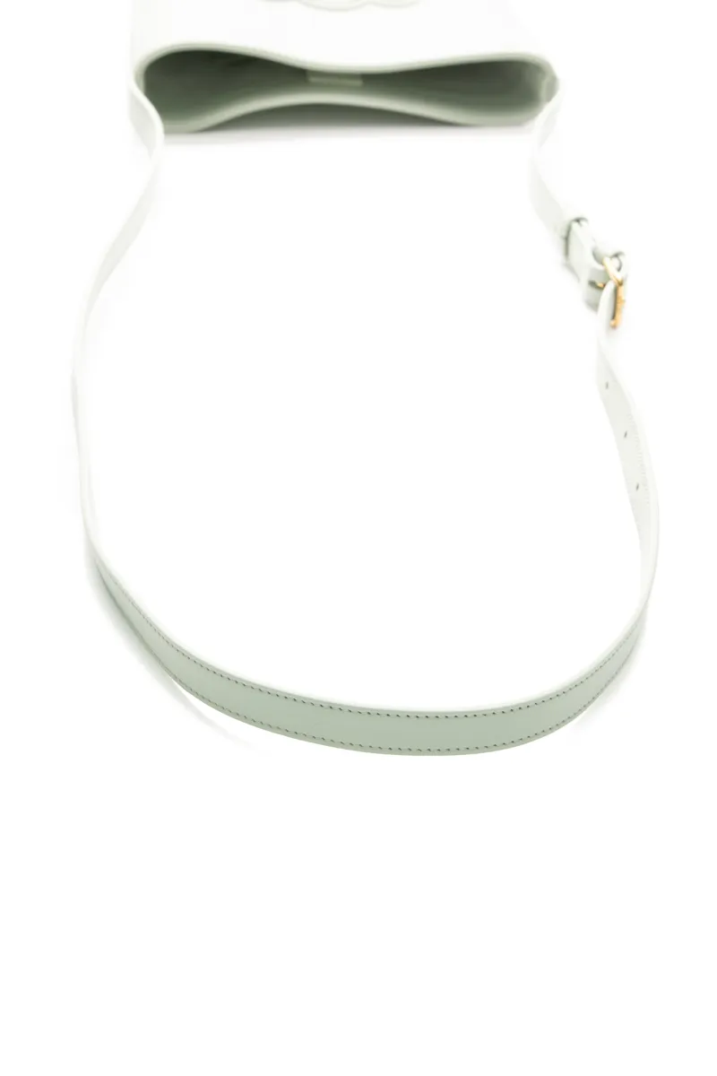 Mini Triomphe Bucket Bag