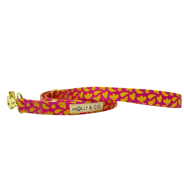 MOLLY & CO. - Leash- Sunny Vibes (Large)