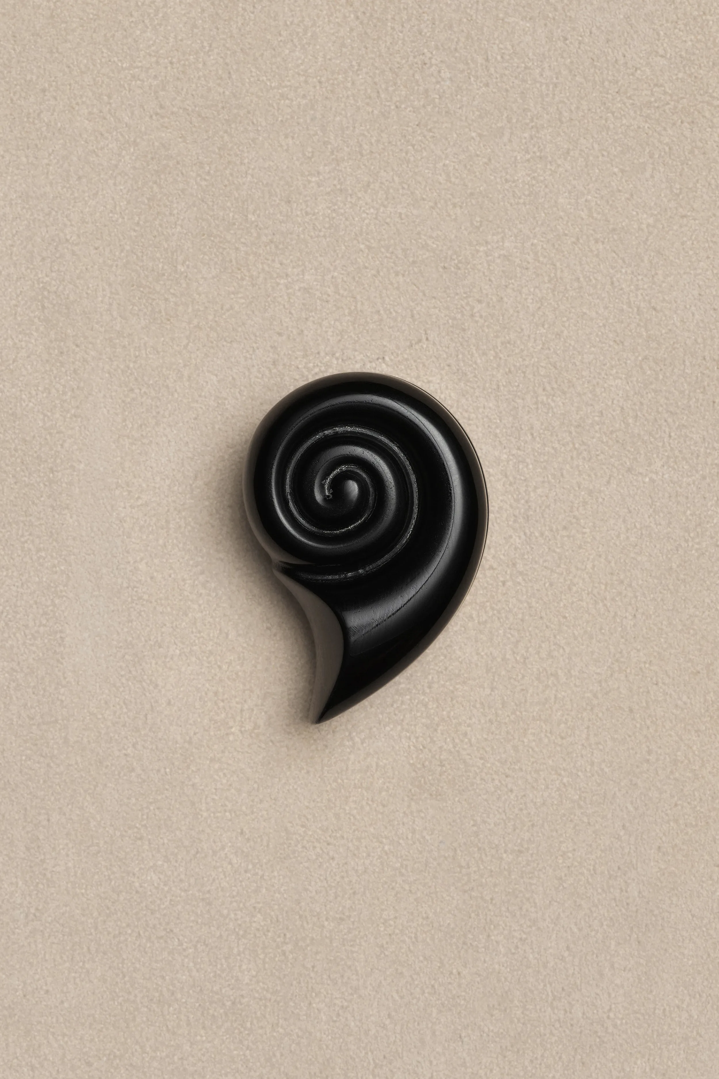 NAUTILUS PILL BOX IN ONYX