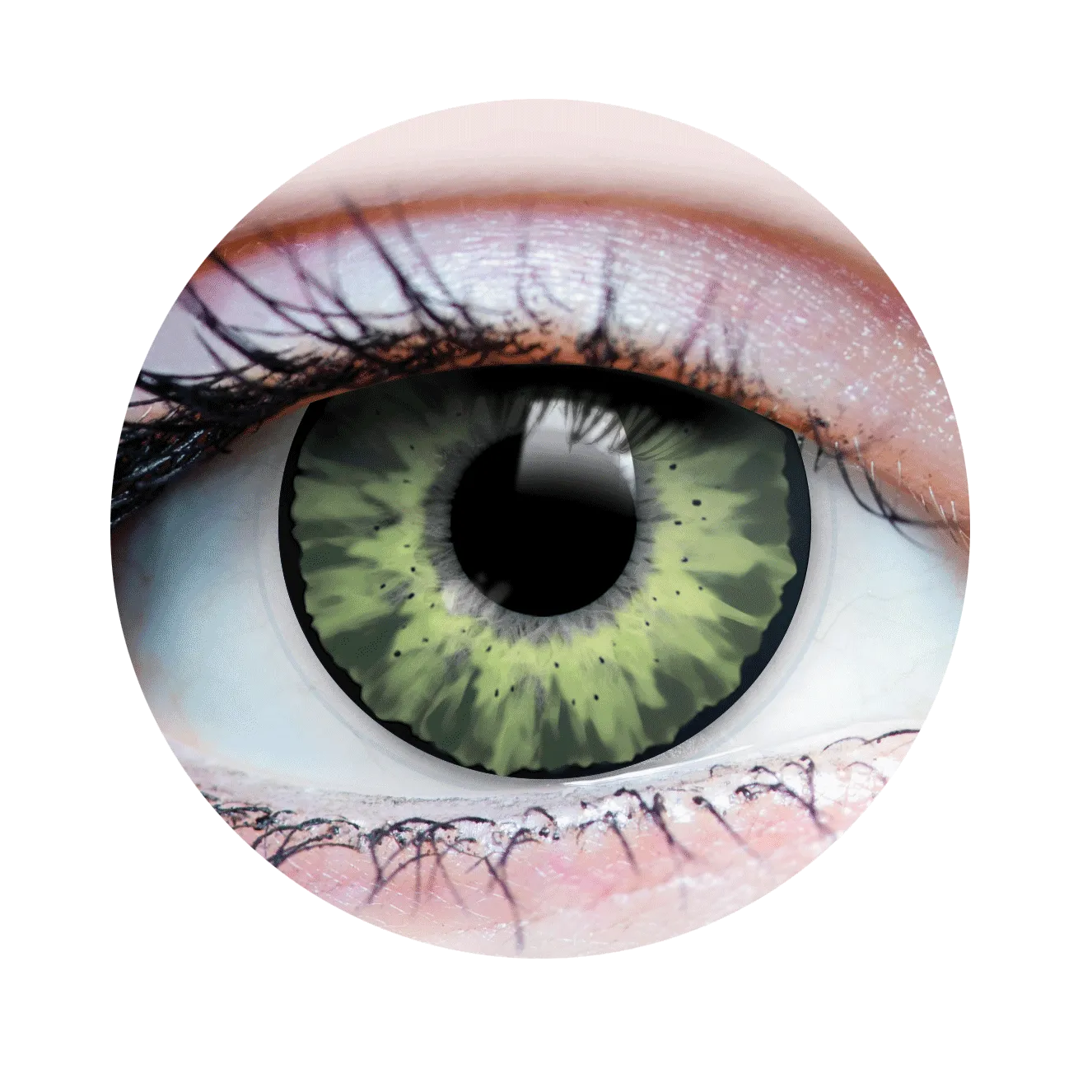 Primal Contact Lenses Delightful Jade