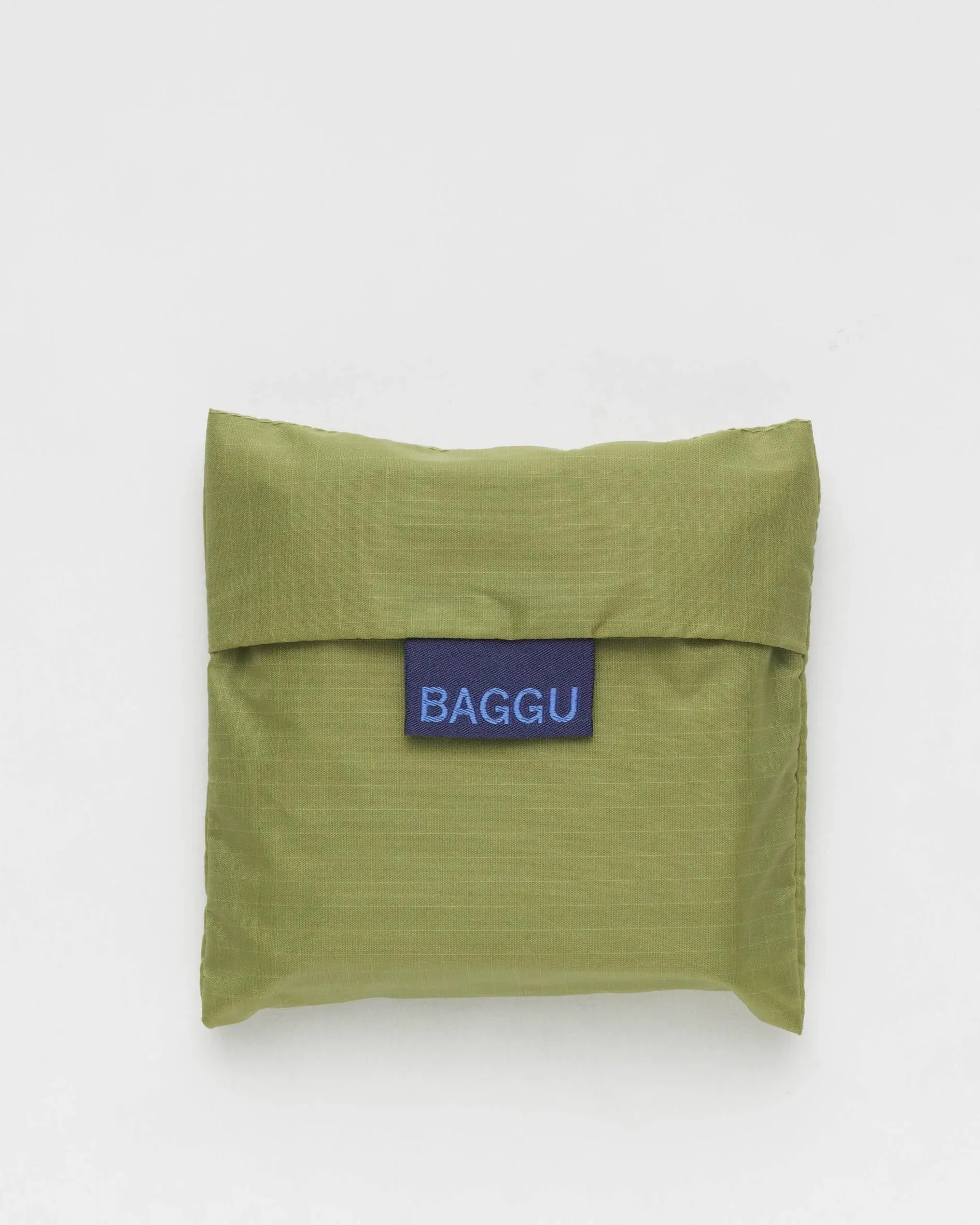 Standard Baggu - Pistachio