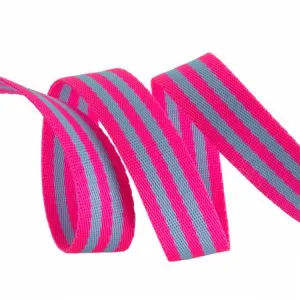 Tula Pink Webbing 2yd x 1in - Aqua and Hot Pink -- Renaissance Ribbons Inc