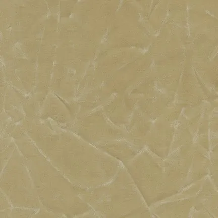 Waxer canvas in Stone -- Robert Kaufman