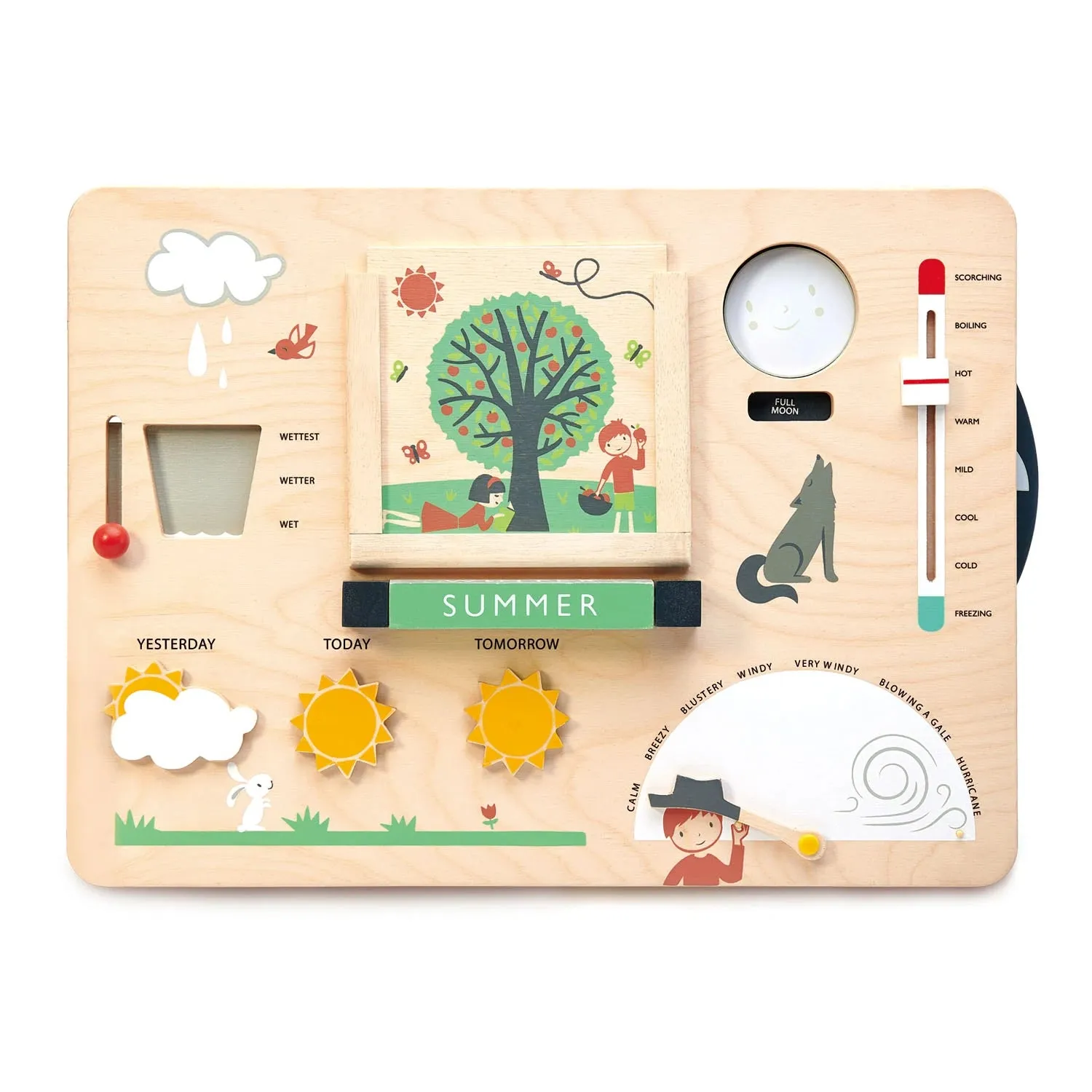 Weather Watch Forecast Station