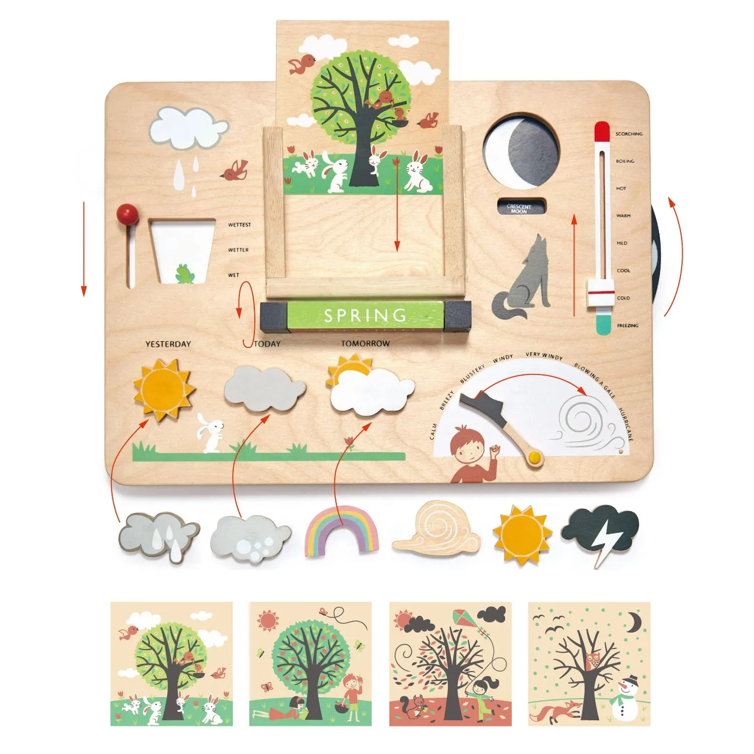 Weather Watch Forecast Station