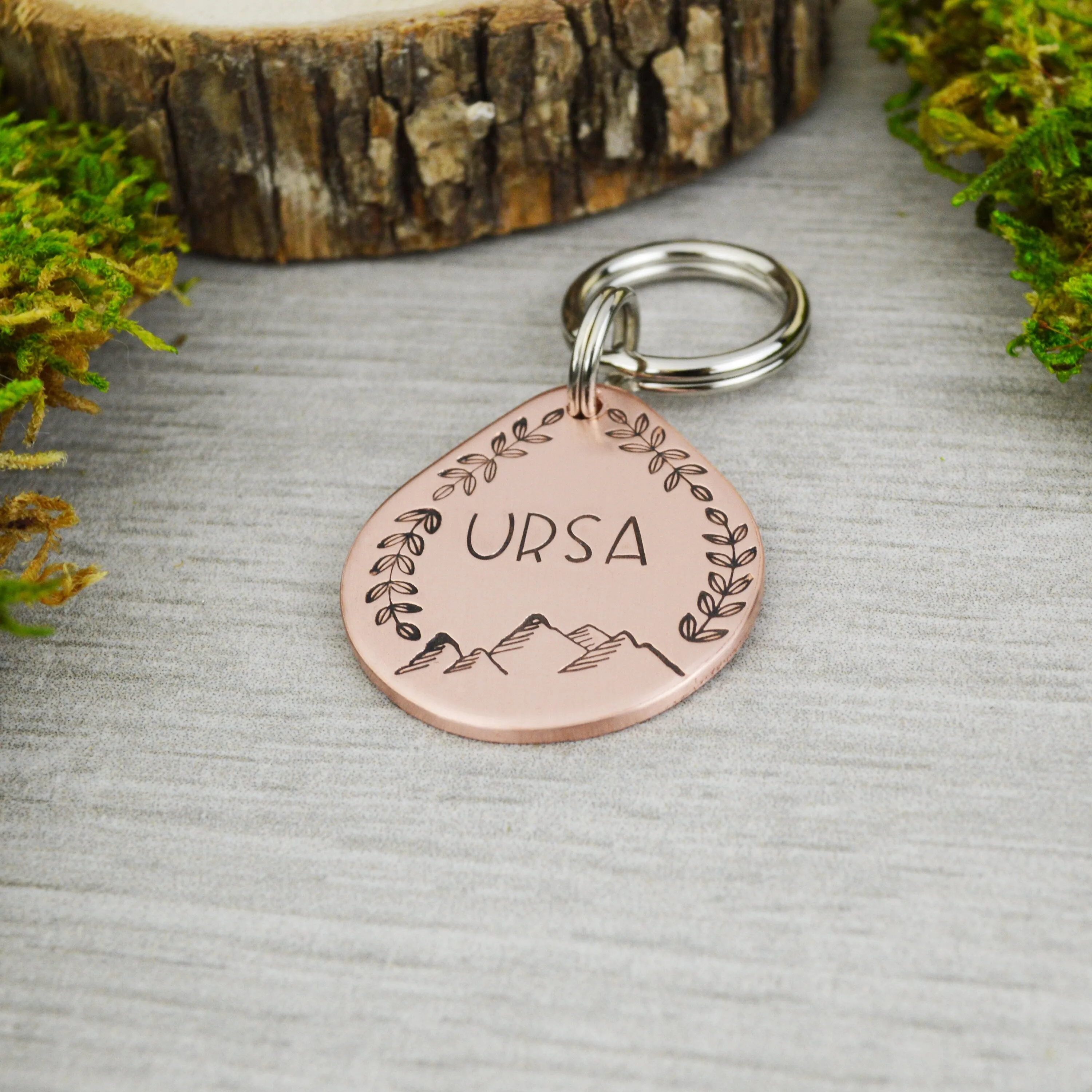 Weekend Adventurer Pet ID Tag