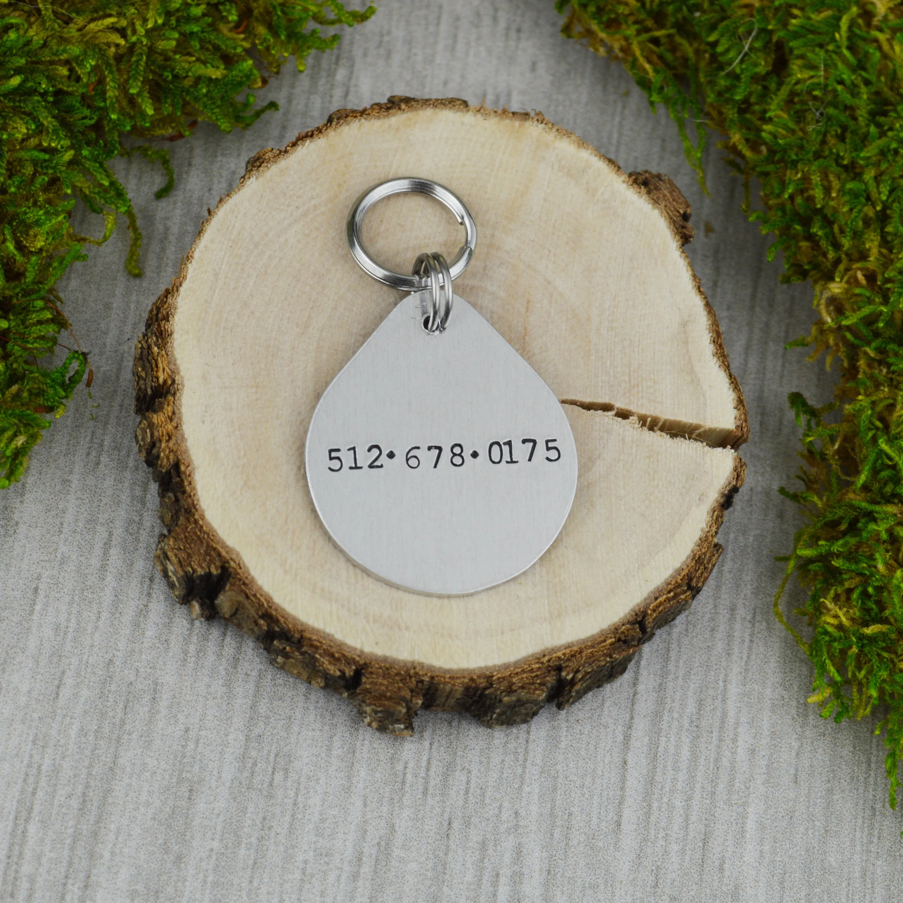 Weekend Adventurer Pet ID Tag