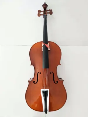 WILH.STEINBERG Wj01A 3/4 Cello